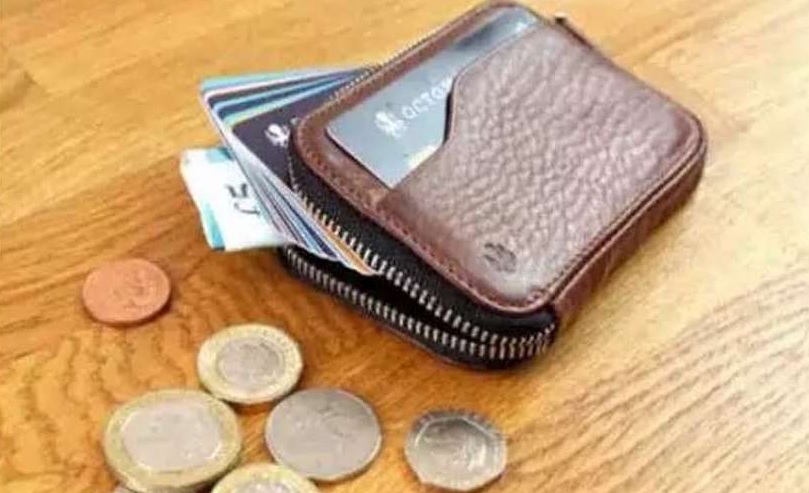 Vastu Tips For Wallet Do Not Keep These Things In Your Purse According To  Vastu shastra | Vastu Tips: भूलकर भी पर्स में ना रखें ये चीजें, आर्थिक तंगी  से हो जाएंगे